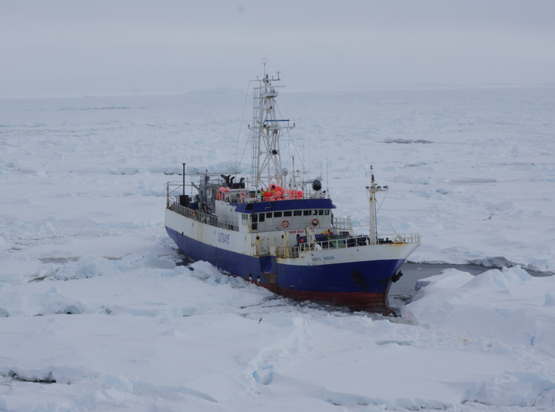 Illustration for article titled A Mammoth Ice Breaker Frees a Ship Trapped In the Frozen Ocean